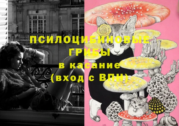гидропоника Армянск