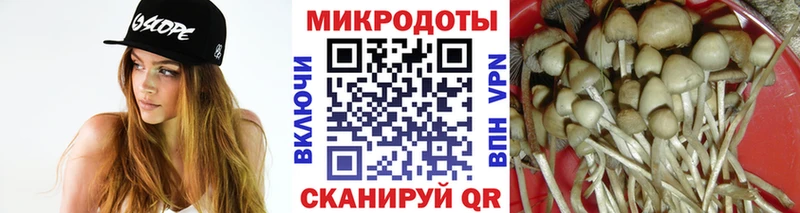 Псилоцибиновые грибы Psilocybine cubensis  закладка  Чишмы 