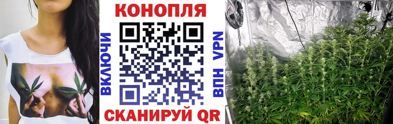 Конопля White Widow  Чишмы 